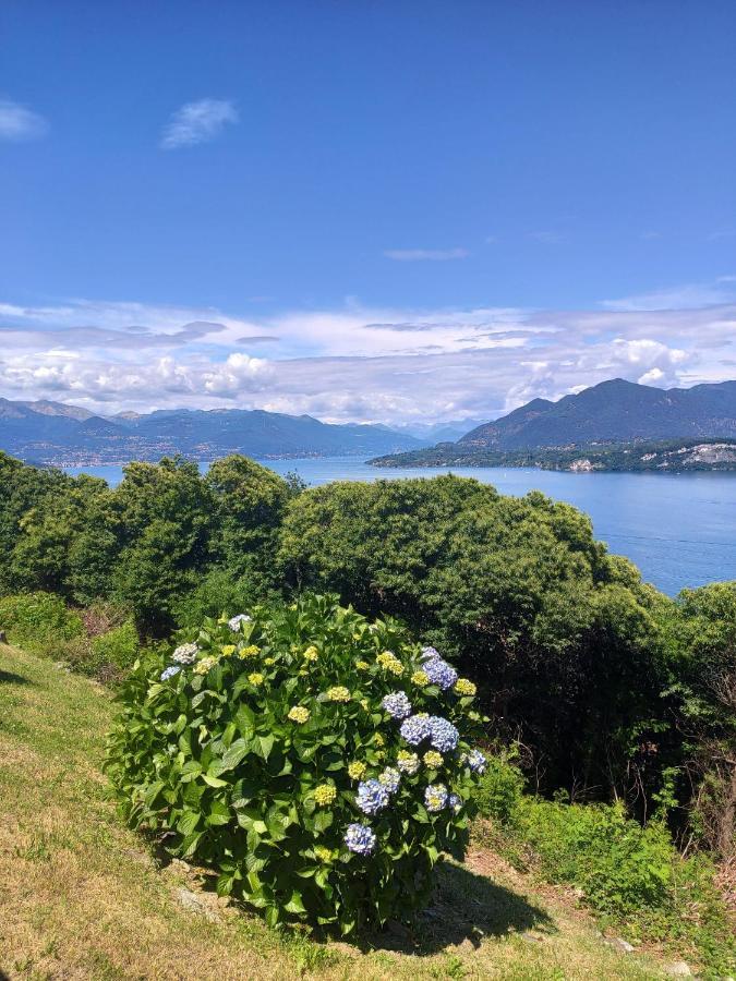 Cloud 9 - Apartment With Stunning Lake View Belgirate Exteriér fotografie
